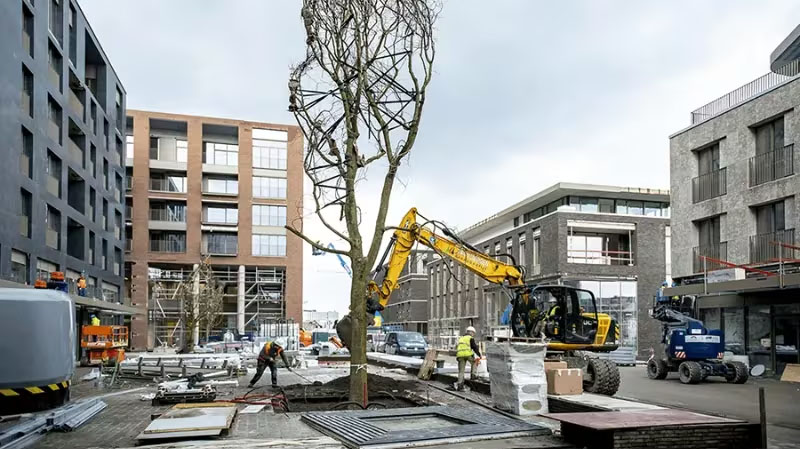 100 000 fa ereszthet gyökeret