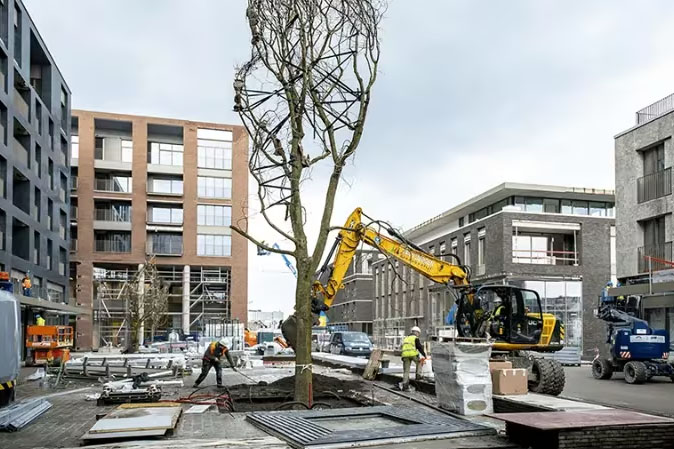 100 000 fa ereszthet gyökeret